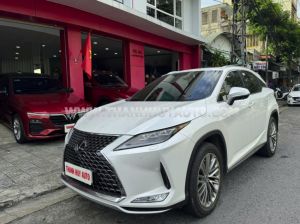 Xe Lexus RX 300 2021