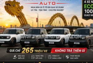 Xe VinFast VF3 Eco 2026